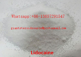 Lidocaine Basishcl Lokaal Verdovingsmiddelenpoeder 99,56% Buitengewone Speciale Vuller CAS 137-58-6